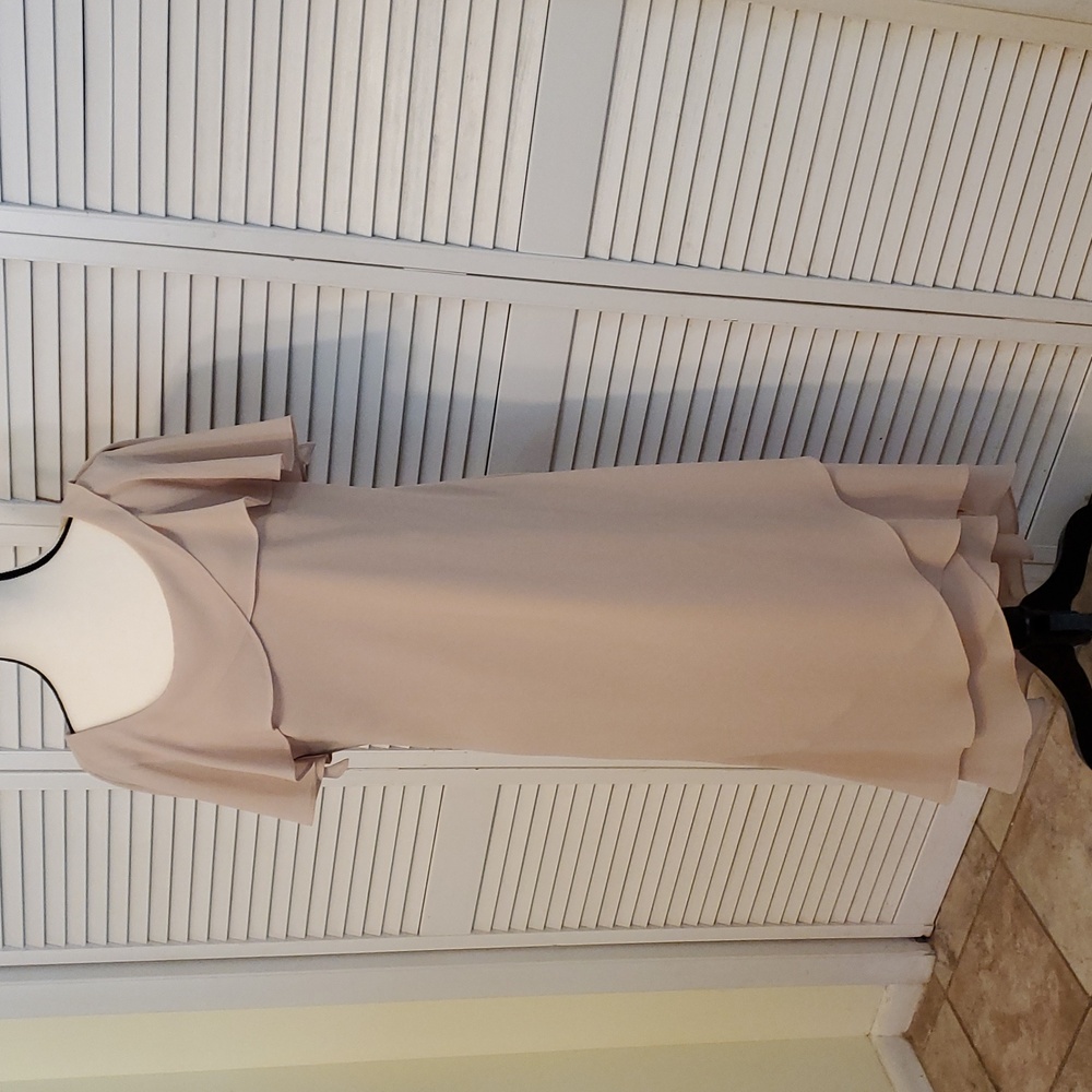R&M Richards Elegant Tan Beige Evening Dress, Size 14